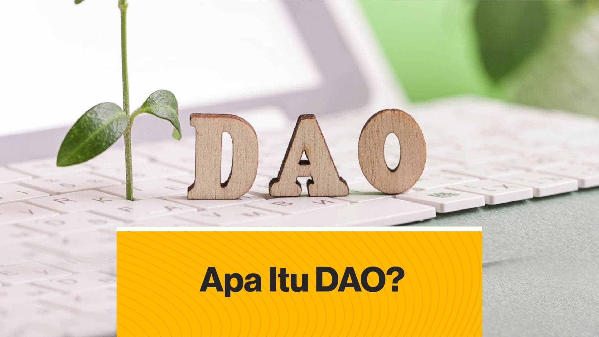 Apa itu DAO? (Coindesk Indonesia)